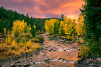 Fall colors along the Truckee River