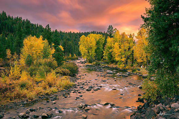 Fall colors along the Truckee River