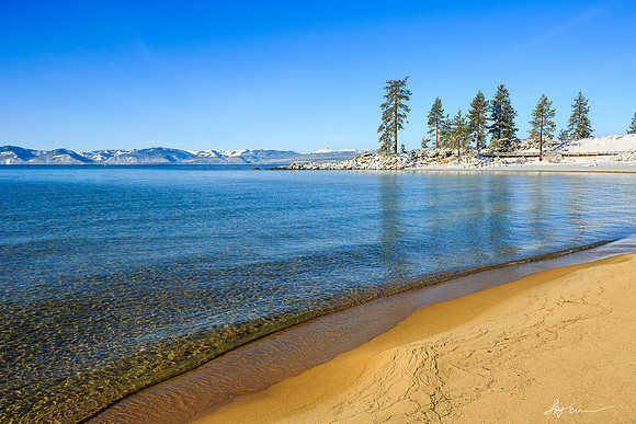 Vibrant Shore