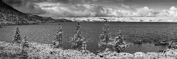 Snowy Tahoe Morning B+W