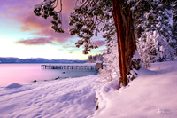 Mauve Morning