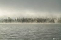 Mists of Donner