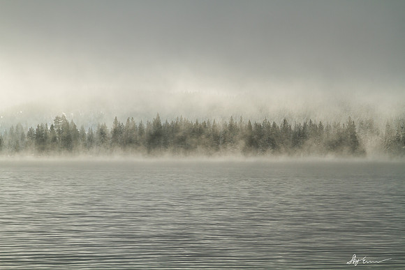 Mists of Donner