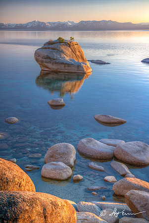 Bonsai Rock