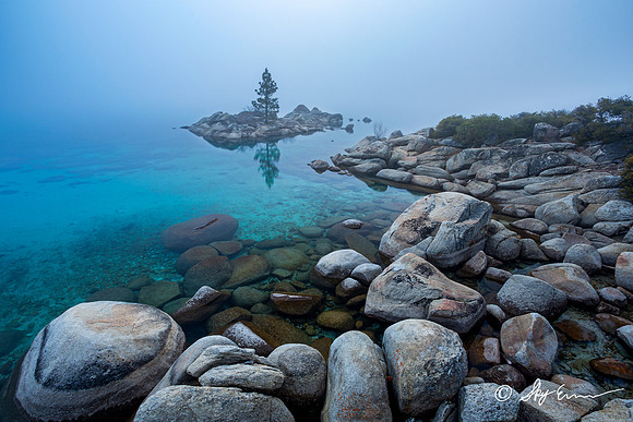 Placid Shore
