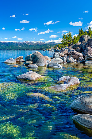 Winsome Shoreline