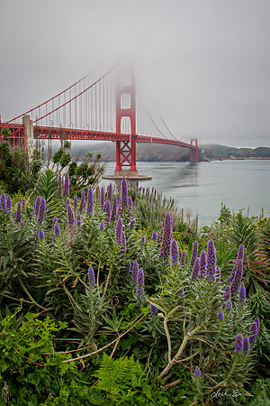 Foggy Bridge