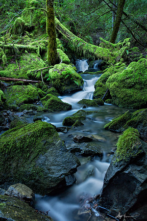 Montgomery Creek