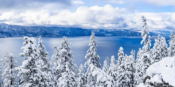 Winter Comes Home To Roost