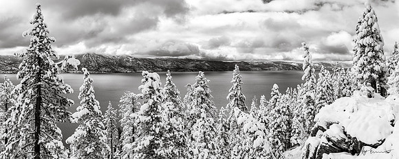 Black and White Panoramic Print of Lake Tahoe